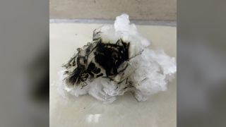 Staple Lyocell Tahan Api Tinggi Dapat Terurai Secara Biodegradasi 1,33D*38MM, Serat Potong Seragam untuk Pemintalan & Nonwo