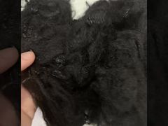 Serat berongga 2D daur ulang asli 2,5D*64mm