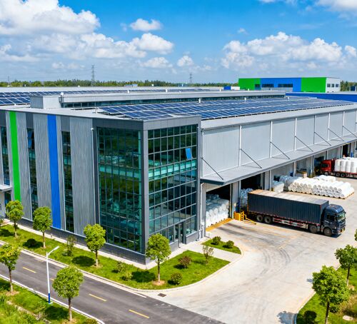 Berita perusahaan terbaru tentang Serat gurita - pemasok bahan baku berkualitas tinggi dan harga terjangkau