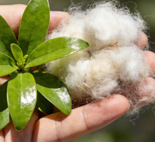 Berita perusahaan terbaru tentang Serat Berongga Hitam & Putih: Pilihan Utama untuk Manufaktur Tekstil & Industri