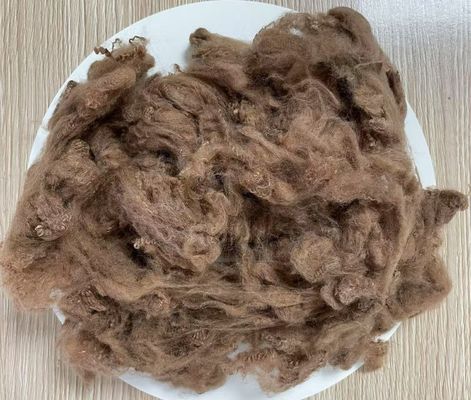 Harga yang bagus Serat Staple Polyester Daur Ulang 2.5D 51mm Kopi Kuning Tahan Kerutan Tinggi on line