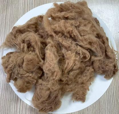 Harga yang bagus Serat Staple Polyester Daur Ulang 1.5D 38mm Light Camel on line