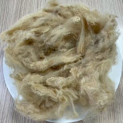 Harga yang bagus 6D Daur Ulang Polyester Serat Staple 51mm Beige Kekuatan Tinggi on line