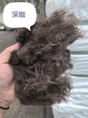 Harga yang bagus Daur ulang Polyester Serat Staple 3D 51mm Kopi Hitam on line