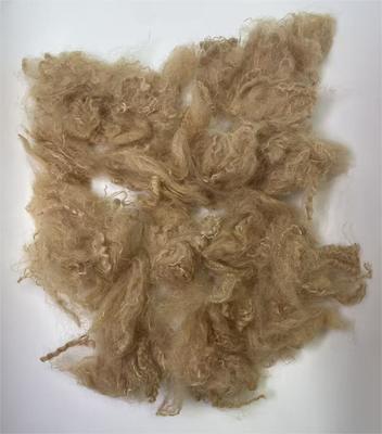 Harga yang bagus Recycled Polyester Staple Fiber with 38-64mm Fiber Cut Length High Tear Resistance and 0.4% Moisture Regain on line