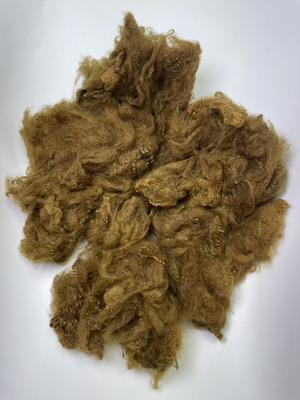 Harga yang bagus Recycled Polyester Staple Fiber 1.5D Yellow Brown with 0.2% Oil Content for High Durability on line