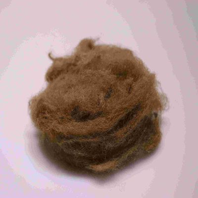 Harga yang bagus Ramah Lingkungan 4080 Polyester Serat Staple Brown Nyaman Polyester Serat Pendek on line