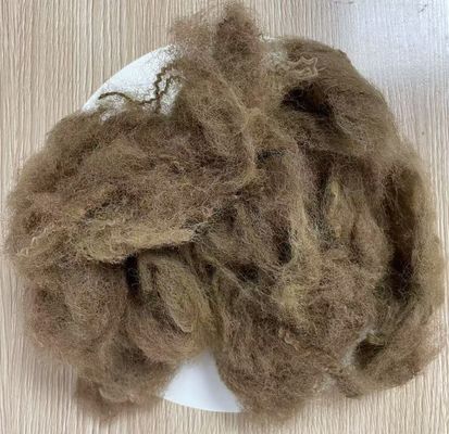 Harga yang bagus Serat Stapel Poliester Daur Ulang Perpanjangan Rendah 25D 65mm Warna Unta Tua on line